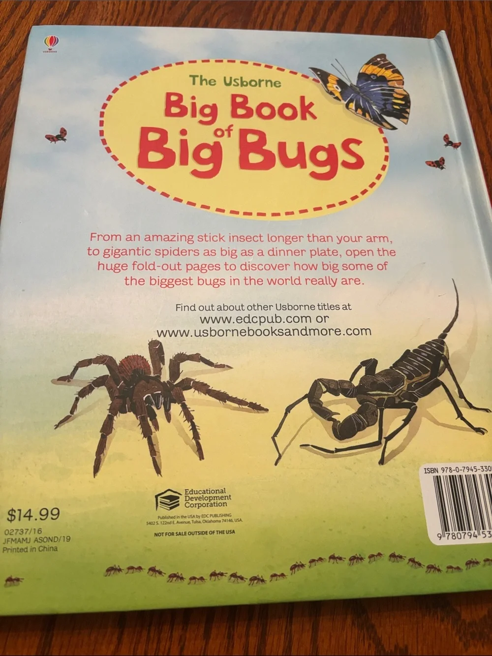 Usborne Big Book of Bugs